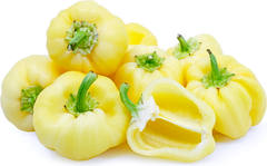 Fresh Capsicum White (1 Piece)