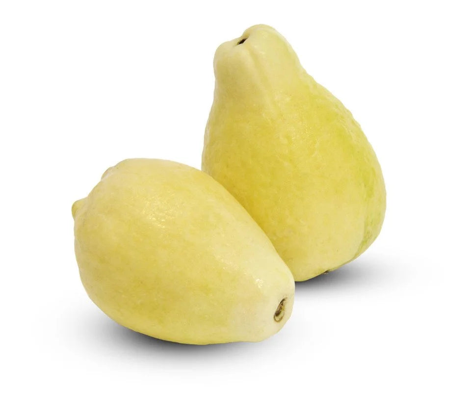 Fresh Guava Egyptian (1 Piece)