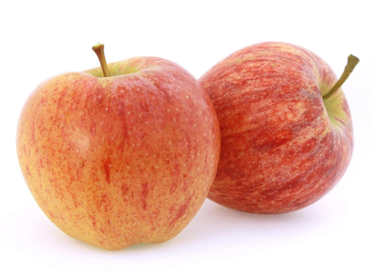 Fresh Gala Apple (1 Piece)