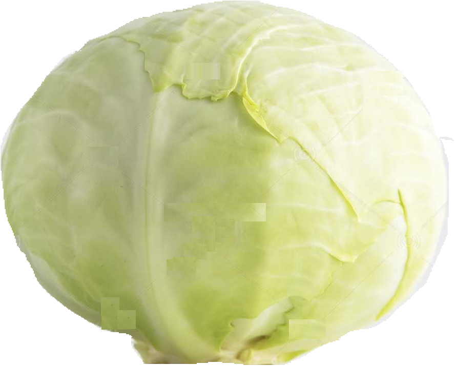 Fresh White Cabbage (1 Piece)