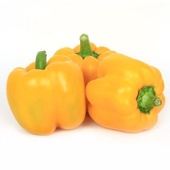 Fresh Yellow Capsicum (Yellow Pepper) (1 Piece)