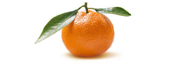 Fresh Orange Clementine (1 Piece)