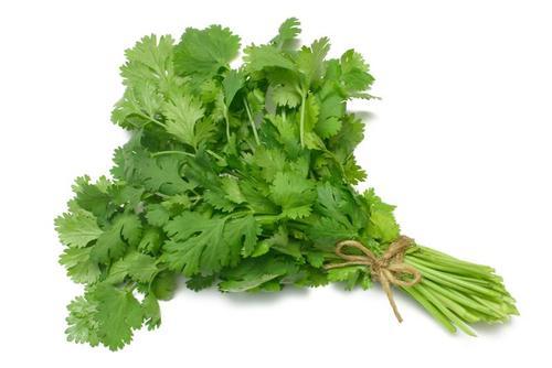 Fresh Coriander (Dhania) (1 Bunch)