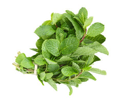 Fresh Mint Leave (Pudina) (1 Bunch)