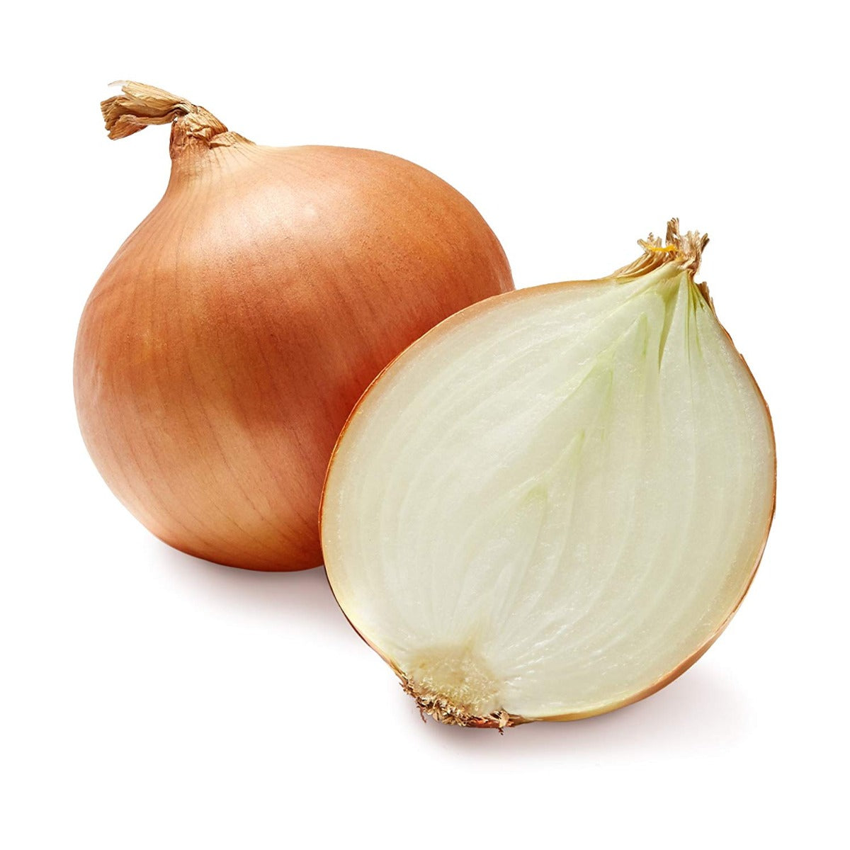 Fresh Dutch Onion 200g