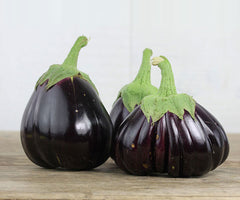 Fresh Aubergine (Eggplant) kenya 100g