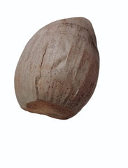 Dry Coconut